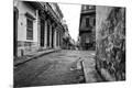Photographic Print
