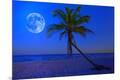 Premium Photographic Print
