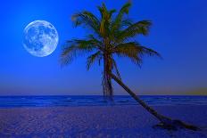The Moon Shining in a Deserted Tropical Beach at Midnight with a Coconut Palm Tree in the Foregroun-Kamira-Photographic Print