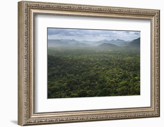 Kanaku Mountains. Savanna Rupununi, Guyana-Pete Oxford-Framed Photographic Print