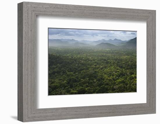 Kanaku Mountains. Savanna Rupununi, Guyana-Pete Oxford-Framed Photographic Print