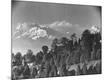 Photographic Print