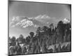 Photographic Print