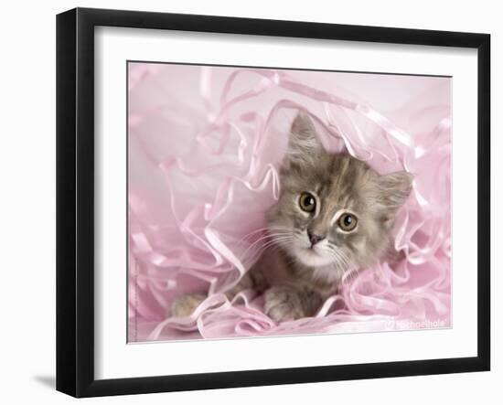 Kandie-Rachael Hale-Framed Art Print