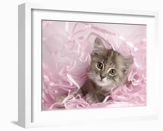 Kandie-Rachael Hale-Framed Art Print