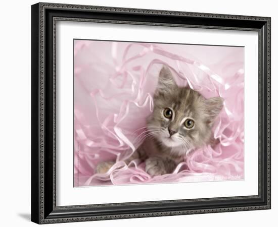 Kandie-Rachael Hale-Framed Art Print