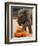 Kandula, a Two-Year-Old Male Asian Elephant, Prepares to Stomp on Pumpkins at the National Zoo-null-Framed Photographic Print