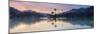 Kandy Lake and the Island at Sunrise, Kandy, Central Province, Sri Lanka, Asia-Matthew Williams-Ellis-Mounted Photographic Print