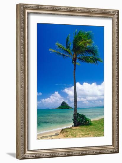 Kaneohe Bay Palm Tree, Hawaii-George Oze-Framed Photographic Print
