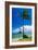 Kaneohe Bay Palm Tree, Hawaii-George Oze-Framed Photographic Print