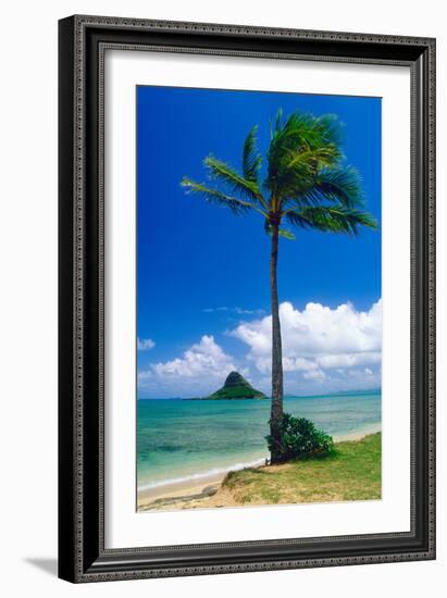 Kaneohe Bay Palm Tree, Hawaii-George Oze-Framed Photographic Print