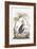 Kangaroo, 1794-null-Framed Giclee Print