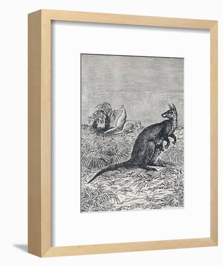 'Kangaroo', 1924-Unknown-Framed Giclee Print
