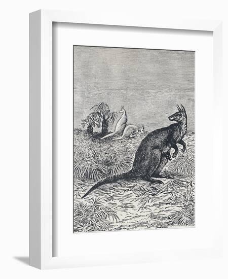 'Kangaroo', 1924-Unknown-Framed Giclee Print