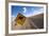 Kangaroo Crossing Sign in the Australian Outback-Paul Souders-Framed Photographic Print