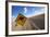 Kangaroo Crossing Sign in the Australian Outback-Paul Souders-Framed Photographic Print