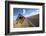 Kangaroo Crossing Sign in the Australian Outback-Paul Souders-Framed Photographic Print