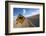 Kangaroo Crossing Sign in the Australian Outback-Paul Souders-Framed Photographic Print