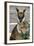 Kangaroo Eating and Looking at the Camera, Queensland, Australia Pacific-Noelia Ramon-Framed Photographic Print