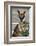 Kangaroo Eating and Looking at the Camera, Queensland, Australia Pacific-Noelia Ramon-Framed Photographic Print