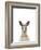 Kangaroo Friend-Marco Simoni-Framed Giclee Print