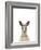 Kangaroo Friend-Marco Simoni-Framed Giclee Print