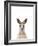 Kangaroo Friend-Marco Simoni-Framed Giclee Print