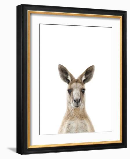 Kangaroo Friend-Marco Simoni-Framed Giclee Print