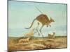 Kangaroo Hunting-Anonymous Anonymous-Mounted Giclee Print