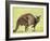 Kangaroo (Macropus Fuliginosus Fuliginosus), Kangaroo Island, South Australia, Australia, Pacific-Thorsten Milse-Framed Photographic Print