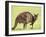 Kangaroo (Macropus Fuliginosus Fuliginosus), Kangaroo Island, South Australia, Australia, Pacific-Thorsten Milse-Framed Photographic Print