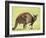 Kangaroo (Macropus Fuliginosus Fuliginosus), Kangaroo Island, South Australia, Australia, Pacific-Thorsten Milse-Framed Photographic Print