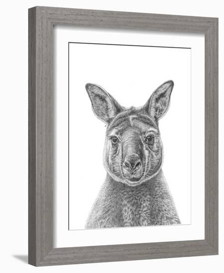 Kangaroo Portrait-Lucy Francis-Framed Giclee Print