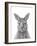 Kangaroo Portrait-Lucy Francis-Framed Giclee Print