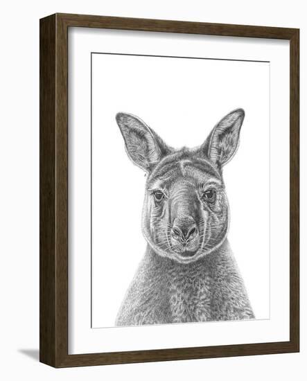 Kangaroo Portrait-Lucy Francis-Framed Giclee Print