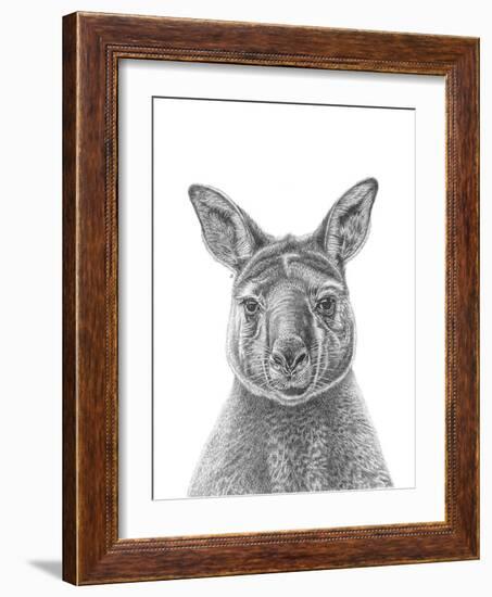 Kangaroo Portrait-Lucy Francis-Framed Giclee Print