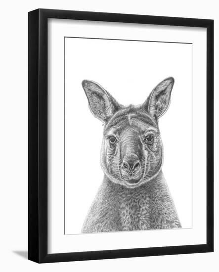 Kangaroo Portrait-Lucy Francis-Framed Giclee Print