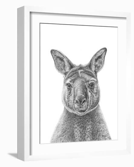 Kangaroo Portrait-Lucy Francis-Framed Giclee Print