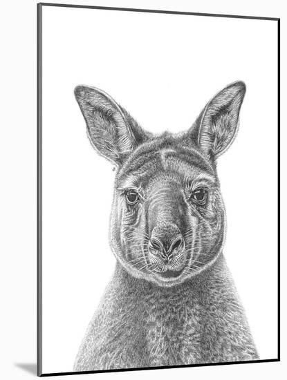 Kangaroo Portrait-Lucy Francis-Mounted Giclee Print