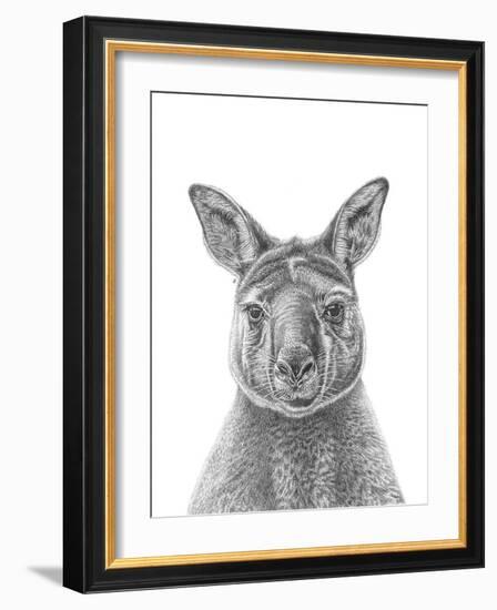 Kangaroo Portrait-Lucy Francis-Framed Giclee Print