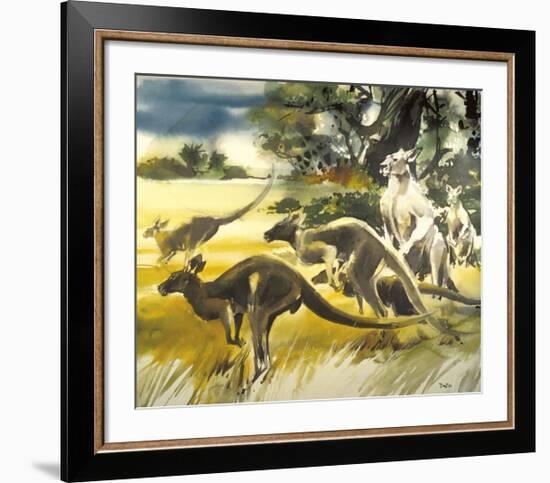 Kangaroo-Wolfgang Weber-Framed Premium Giclee Print