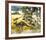 Kangaroo-Wolfgang Weber-Framed Premium Giclee Print