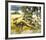 Kangaroo-Wolfgang Weber-Framed Premium Giclee Print