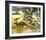 Kangaroo-Wolfgang Weber-Framed Premium Giclee Print