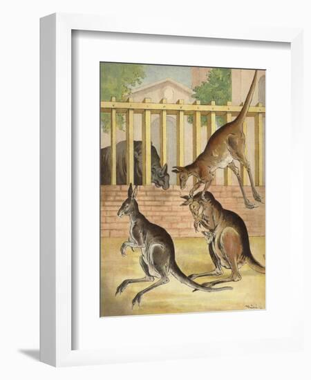 Kangaroos Playing, with Rhinoceros Observing-Richard Andre-Framed Giclee Print