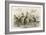 Kangaroos Various 19C-JS Murdoch-Framed Art Print