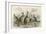 Kangaroos Various 19C-JS Murdoch-Framed Art Print