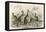 Kangaroos Various 19C-JS Murdoch-Framed Stretched Canvas