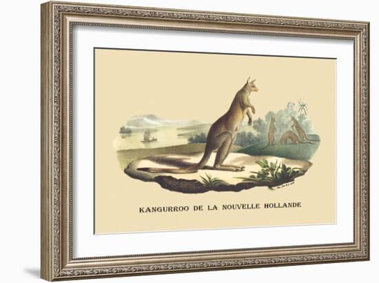 Kangouroo de la Nouvelle Hollande-E.f. Noel-Framed Art Print