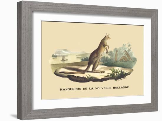 Kangouroo de la Nouvelle Hollande-E.f. Noel-Framed Art Print